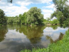 soutok řeky Dyje a&nbsp;Moravy | Penzion Soutok